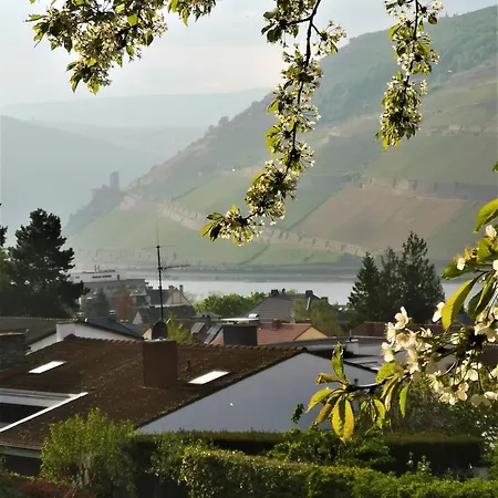 Appartement 'stay Friends' Bingen am Rhein