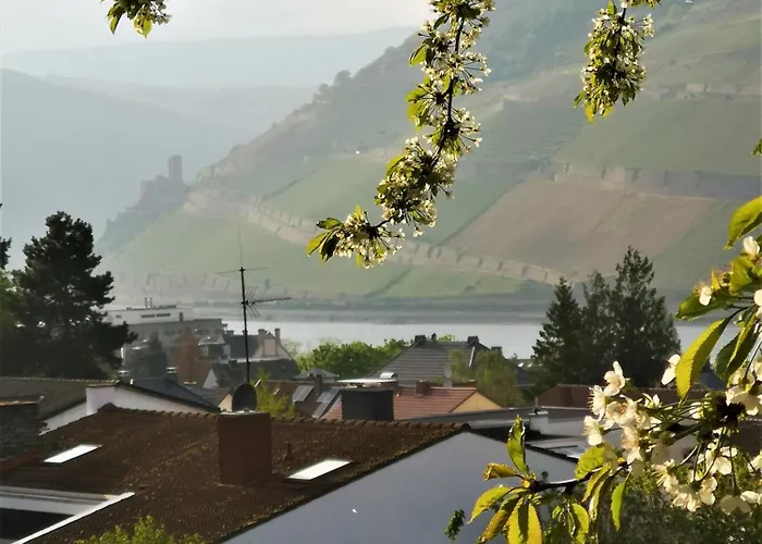 Apartment 'stay Friends' Bingen am Rhein
